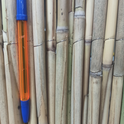 Камышовый забор рулонный 1,4х3м.